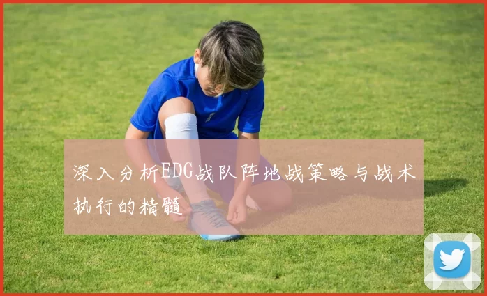 深入分析EDG战队阵地战策略与战术执行的精髓