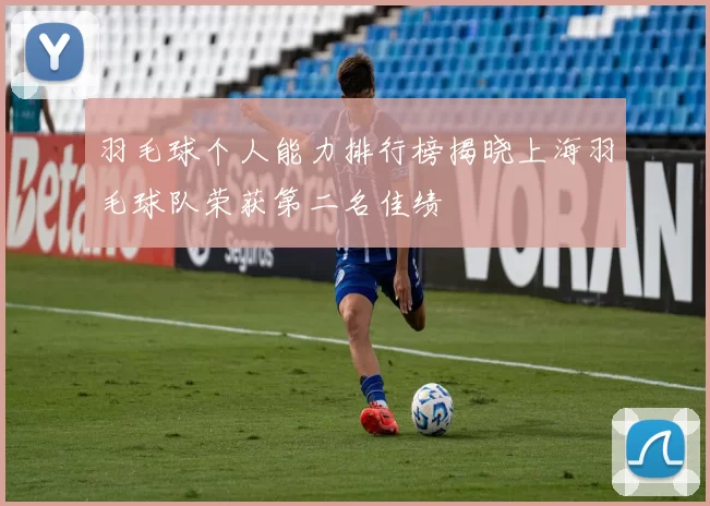 羽毛球个人能力排行榜揭晓上海羽毛球队荣获第二名佳绩