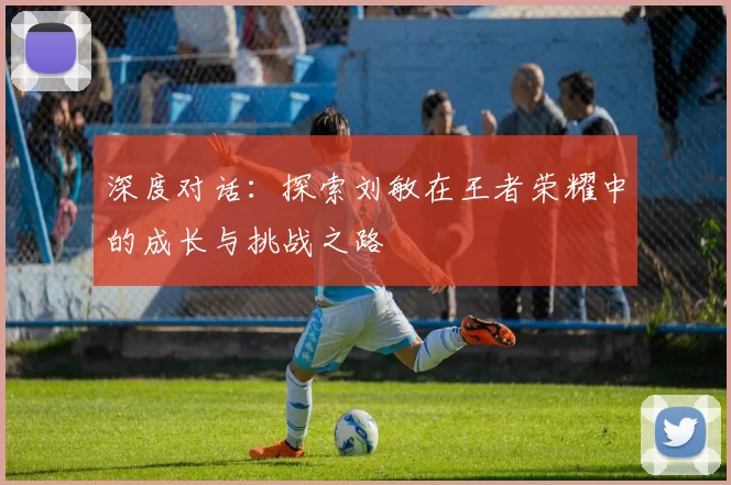 深度对话：探索刘敏在王者荣耀中的成长与挑战之路