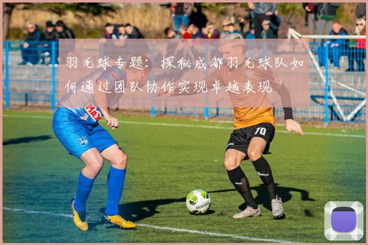 羽毛球专题：探秘成都羽毛球队如何通过团队协作实现卓越表现