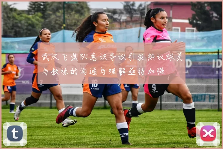 武汉飞盘队意识争议引发热议球员与教练的沟通与理解亟待加强