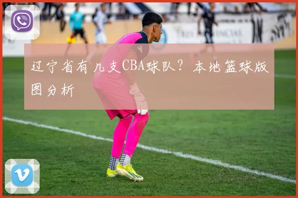 辽宁省有几支CBA球队？本地篮球版图分析