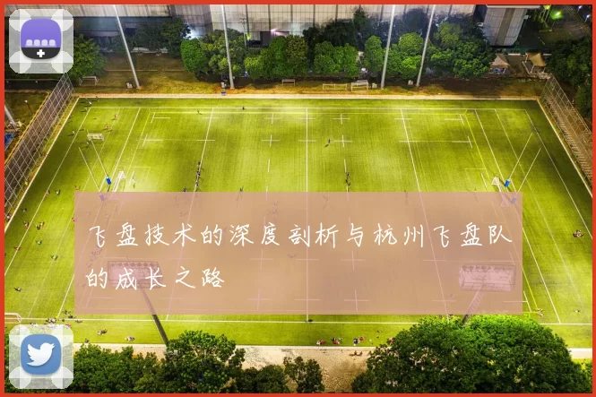 飞盘技术的深度剖析与杭州飞盘队的成长之路