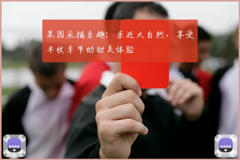 果园采摘乐趣：亲近大自然，享受丰收季节的甜美体验