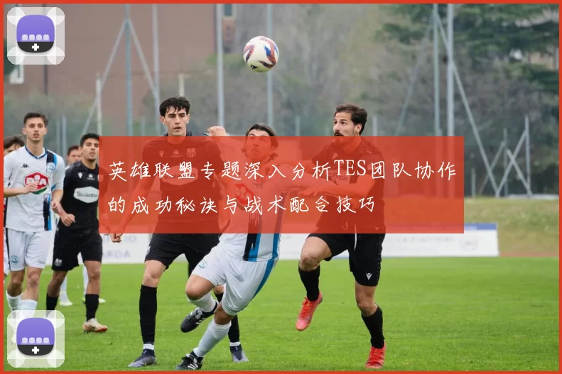 英雄联盟专题深入分析TES团队协作的成功秘诀与战术配合技巧