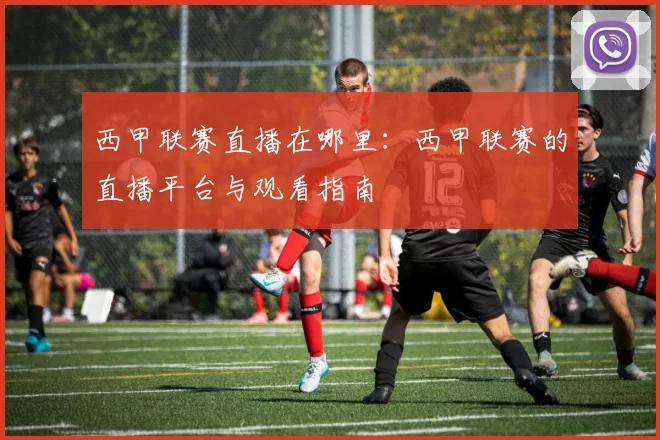 西甲联赛直播在哪里：西甲联赛的直播平台与观看指南