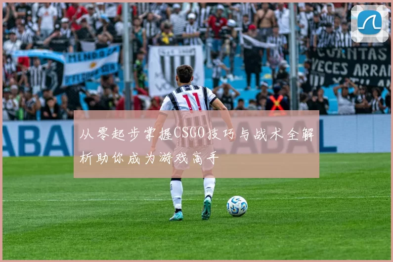 从零起步掌握CSGO技巧与战术全解析助你成为游戏高手