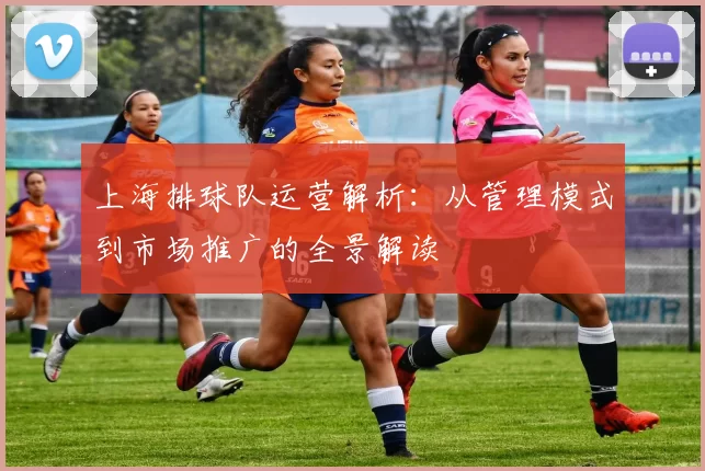 上海排球队运营解析：从管理模式到市场推广的全景解读
