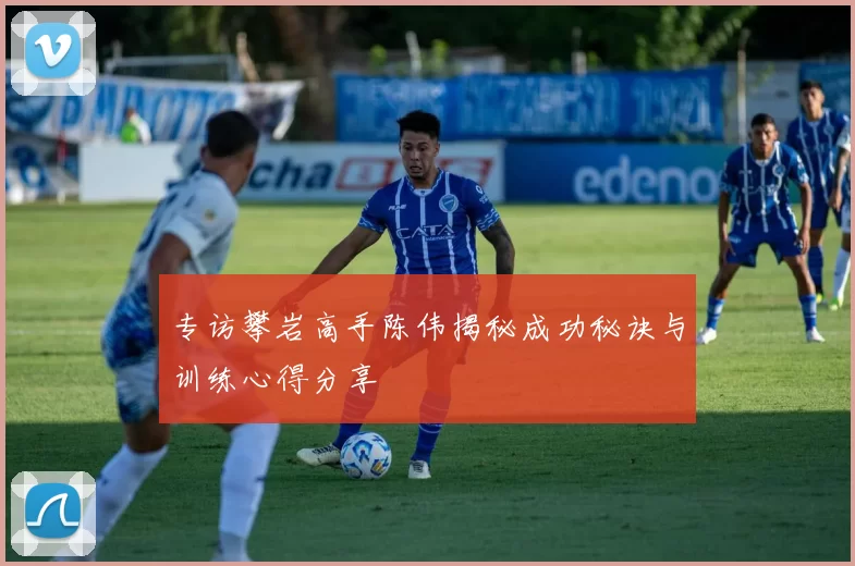 专访攀岩高手陈伟揭秘成功秘诀与训练心得分享