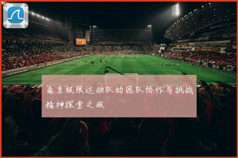 南京极限运动队的团队协作与挑战精神探索之旅