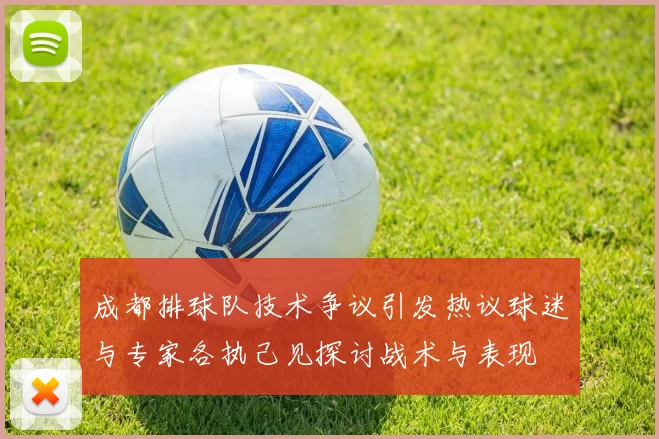 成都排球队技术争议引发热议球迷与专家各执己见探讨战术与表现