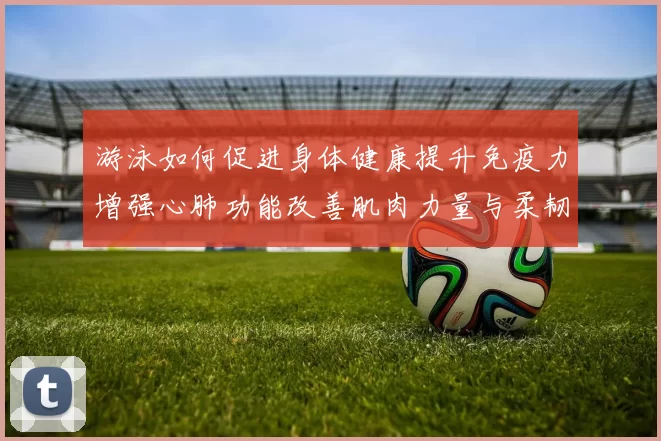 游泳如何促进身体健康提升免疫力增强心肺功能改善肌肉力量与柔韧性