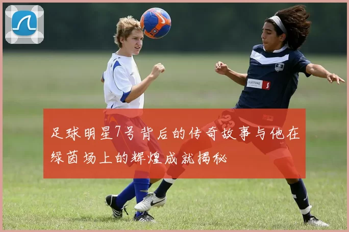 足球明星7号背后的传奇故事与他在绿茵场上的辉煌成就揭秘