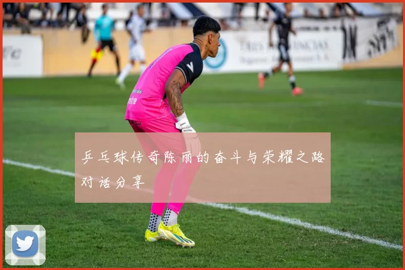 乒乓球传奇陈丽的奋斗与荣耀之路对话分享
