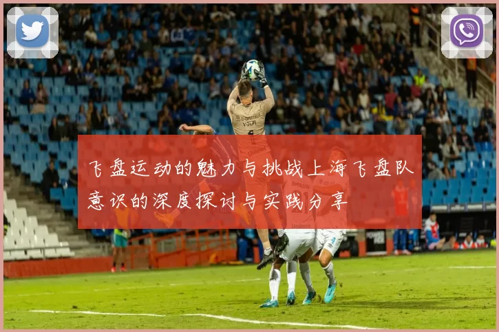 飞盘运动的魅力与挑战上海飞盘队意识的深度探讨与实践分享