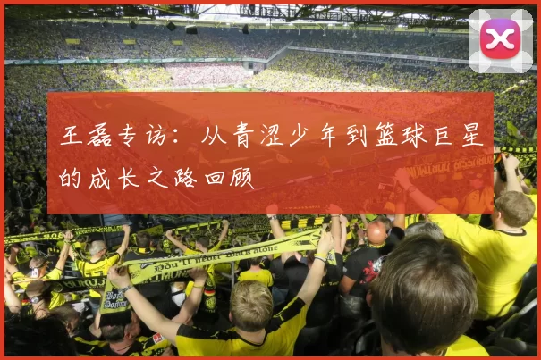 王磊专访：从青涩少年到篮球巨星的成长之路回顾