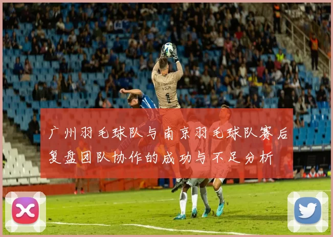 广州羽毛球队与南京羽毛球队赛后复盘团队协作的成功与不足分析