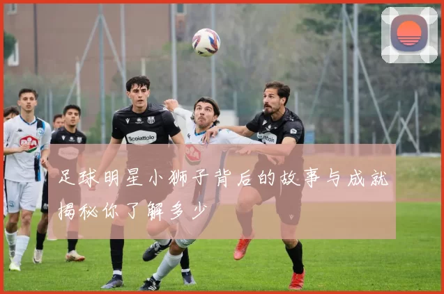 足球明星小狮子背后的故事与成就揭秘你了解多少
