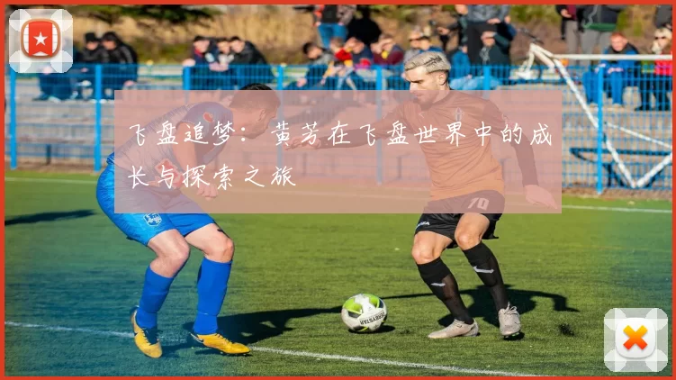 飞盘追梦：黄芳在飞盘世界中的成长与探索之旅