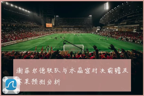 谢菲尔德联队与水晶宫对决前瞻及赛果预测分析